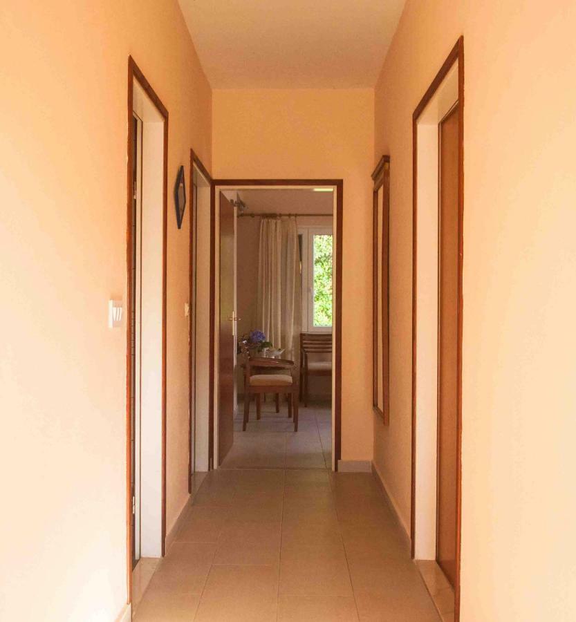 Apartment Jelena Molunat Exterior photo